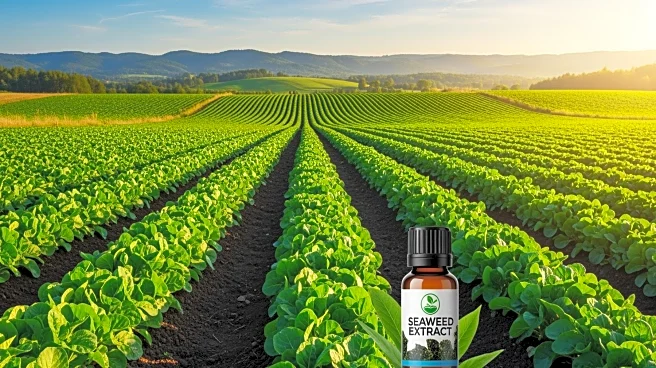 Seaweed Extracts Market to Reach USD 2.6 Billion by 2035, Boosting Sustainable Agriculture