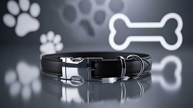 Petco Announces Third Quarter 2025 Earnings Call Amidst Industry Challenges