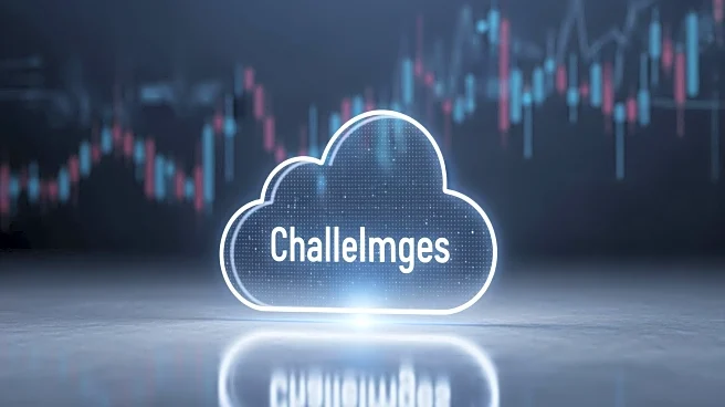 Salesforce Faces Revenue Decline Amid Broader Market Concerns