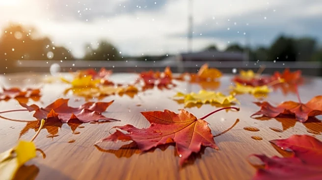 Arizona Fall League Adjusts 2025 Playoff Schedule Due to Weather Concerns