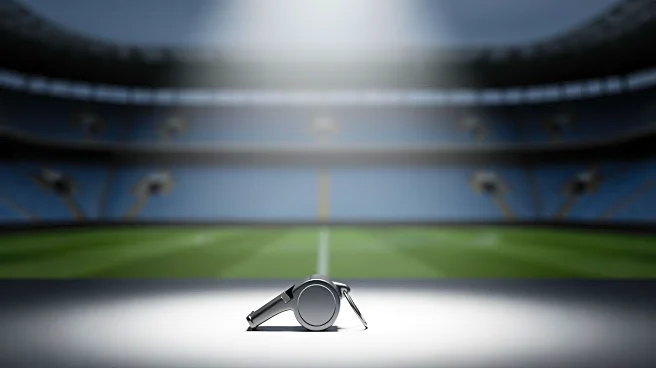 Swansea City Sacks Head Coach Alan Sheehan Amid Poor Performance