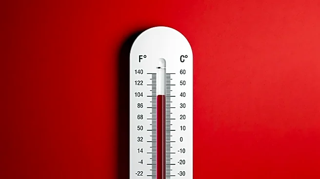 Stanford Researchers Highlight Climate Change's Role in Increasing Dengue Fever Cases