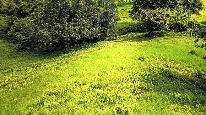 Santa Lucía Jungle Hacienda Opens as a Luxury Retreat in Costa Rica