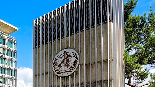 Hadassah Medical Organization's Multicultural Approach Enhances Wartime Healthcare