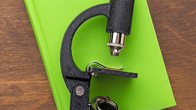 Study Reveals Estrogen's Role in Enhancing Dopamine and Learning Abilities