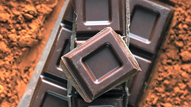 Study Suggests Dark Chocolate May Enhance Memory Within an Hour