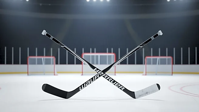 Ducks' Lukas Dostal: Ends Winning Streak Against Avalanche