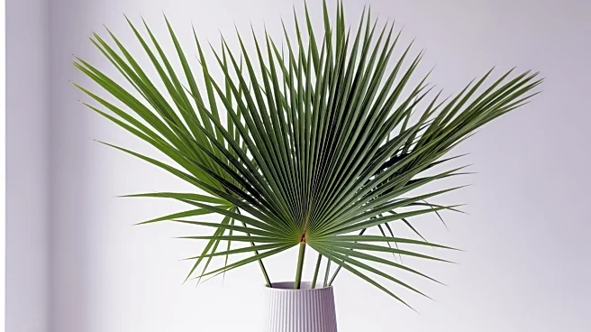 Palm Royale Cast Discusses Season 2 Transformations and Challenges