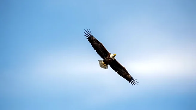 Mercy Flight Central Appoints Lauren Kolb as New President and CEO