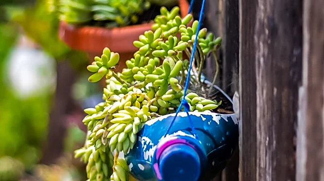 Planteray Rum Launches 2025 Single Casks with Unique Whisky Finishes