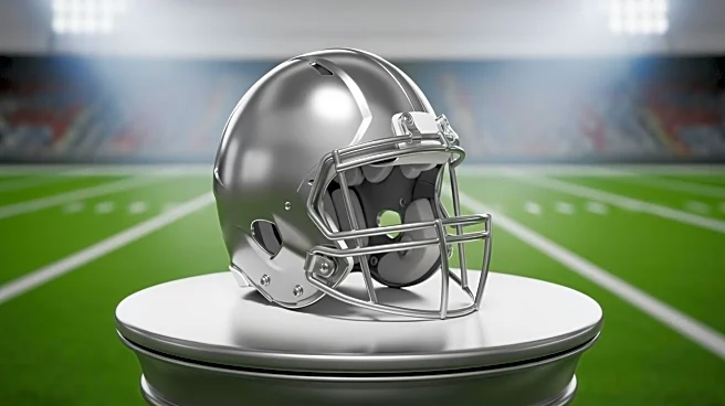 NFL Week 11 Waiver Wire Highlights Key Fantasy Football Pickups