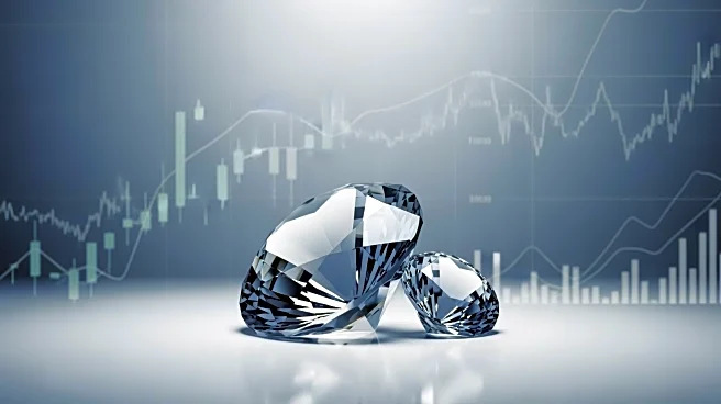 NT Minerals Ends Share Sale Talks Amid Market Volatility