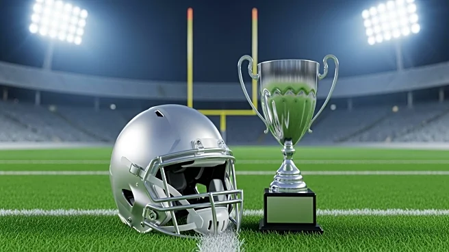 Carolina Panthers Aim for Victory Against Atlanta Falcons to Boost Playoff Chances