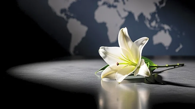 Funeral of Irish Volunteer Killed in Ukraine War to Take Place, Highlighting International Involvement