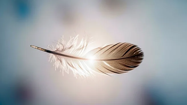 Research Confirms Humans Have 'Seventh Sense' of Remote Touch