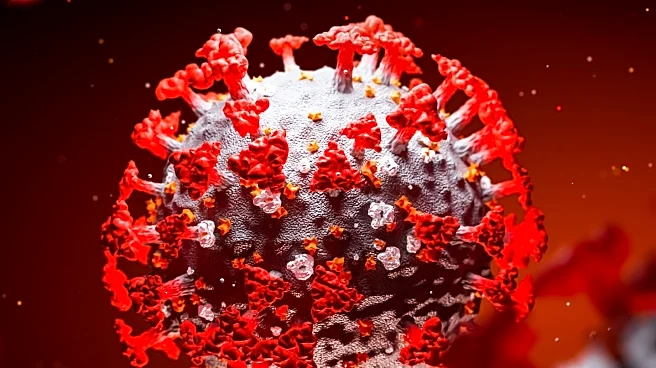 Epstein-Barr Virus Linked to Lupus Development in New Study