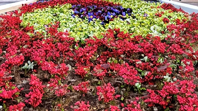 Ohio State University Study Reveals Venting Increases Anger Instead of Reducing It