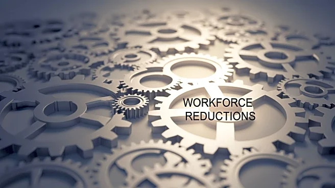 Qcells Faces Workforce Reductions in Georgia Amid Supply Chain Challenges