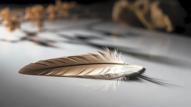 Claire Foy Discusses Emotional Challenges in 'H Is for Hawk' Film