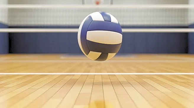 Penfield Advances to Boys Volleyball Final After Semifinal Victory