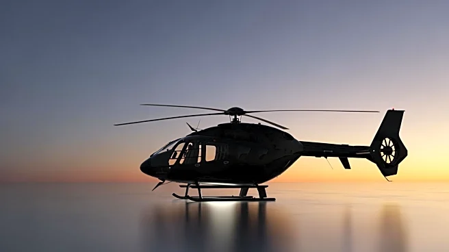 Celebrity Chef Mynie Steffens Dies in Helicopter Crash at 43