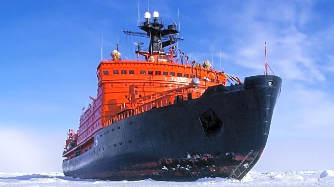 Icebreaker Ship in Arctic Circle Captures Polar Bears' Attention Amidst Changing Environment