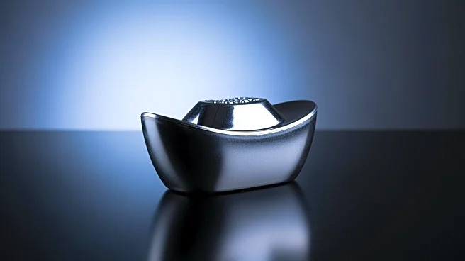 Pan American Silver Reports Record Financial Performance Amid Stock Volatility