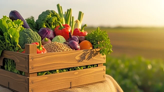 Moldova's Agricultural Credit Program Surpasses €10M, Supporting Small Enterprises