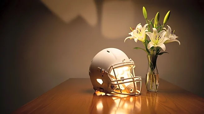 NFL Tight End Advocates for Mental Health Following Tragic Death of Dallas Cowboys Player