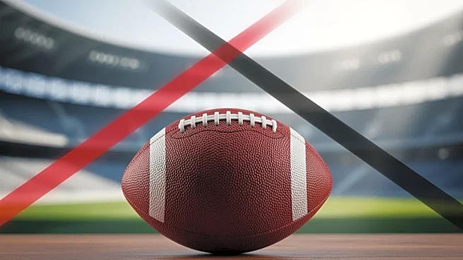 David Bentley Compares Liverpool's Wirtz to AC Milan's Modric