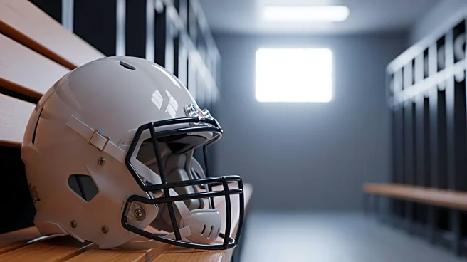 Falcons vs. Panthers Injury Report Highlights Key Absences for Week 11