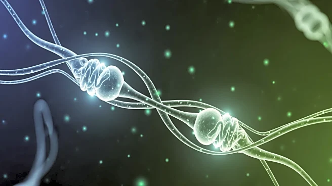 Ananda Scientific and Benta Sign Memorandum to Advance PTSD Treatments in Europe and MENA