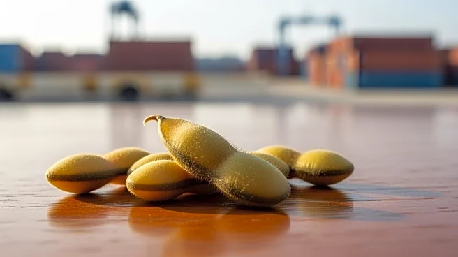 China's US Soybean Purchases Stall Amid Trade Truce Uncertainty