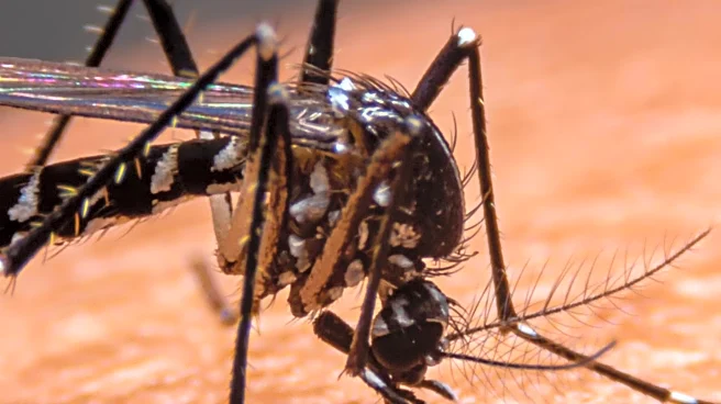 New Malaria Treatments Announced Amid Growing Drug Resistance