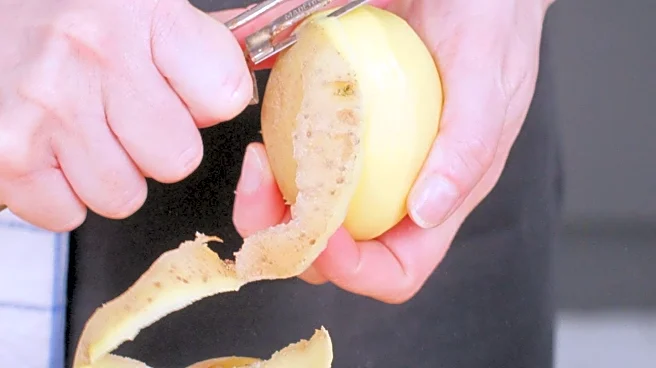 Rotato Potato Peeler Gains Popularity for Holiday Meal Prep