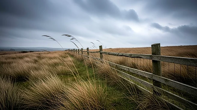 Warner Bros Releases Official Trailer for 'Wuthering Heights' Featuring Margot Robbie and Jacob Elordi