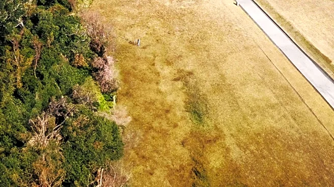 Ojika Island's Unique Charm and Cultural Heritage Attracts Tourists