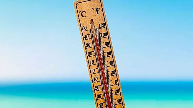 South Florida Weather Forecast: Sunny and Mild Temperatures Expected