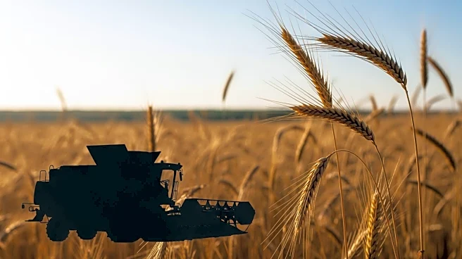 USDA Reports and Market Trends Impact Wheat Futures and Equipment Sales