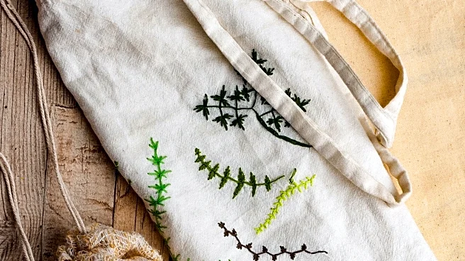 Produce Storage Solutions: Linen Bags Prove Superior in Freshness Test