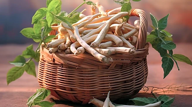 Scientists Discover Natural Pain Relief Method That Could Replace Opioids