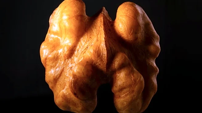 Parabilis Medicines Receives FDA Fast Track Designation for FOG-001 in Desmoid Tumor Treatment