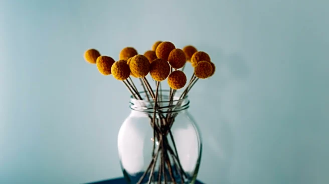 Brené Brown Criticizes Online Self-Help Gurus as 'Sheer Grifters'