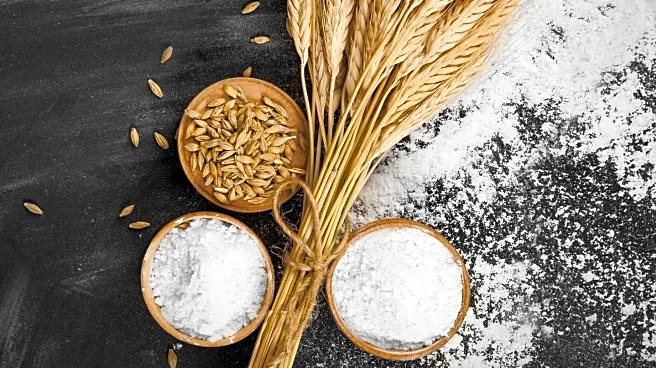 Study Links Ultra-Processed Foods to Increased Colon Cancer Risk