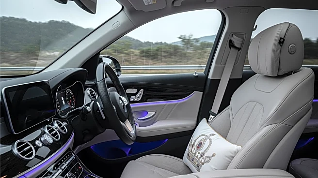 Dutch Bros Declares National Passenger Princess Day with Special Giveaway