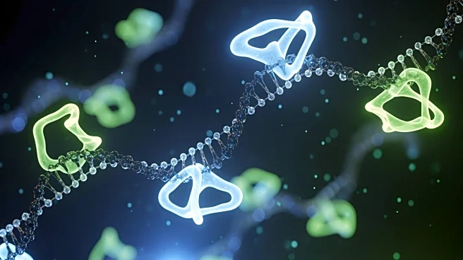 Research Identifies Demethoxy-Coenzyme Q and NUDT5 as Key Regulators in Nucleotide Synthesis