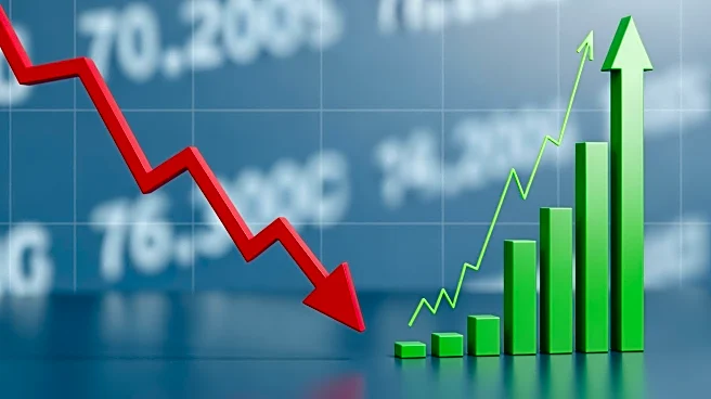 The Trade Desk Faces Significant Stock Decline Amid Strong Revenue Growth