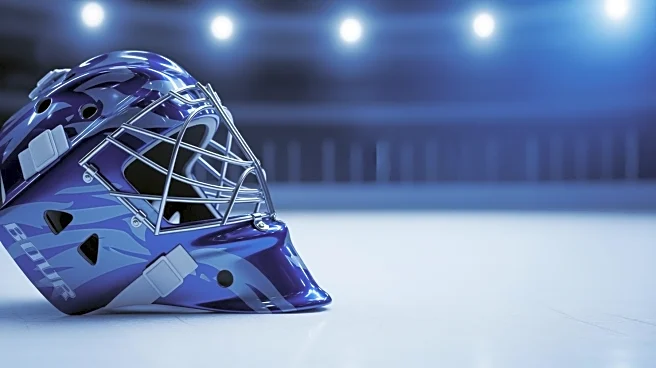 Maple Leafs' Anthony Stolarz: Day-to-Day Status Following Injury