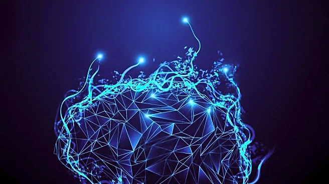 Researchers Discover Neurons Linked to Anxiety and Potential Treatment Pathways