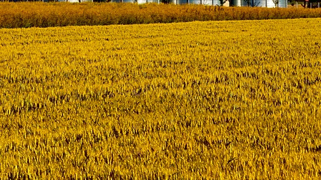 John Anderson Inducted into Canadian Agricultural Hall of Fame for Contributions to Agriculture